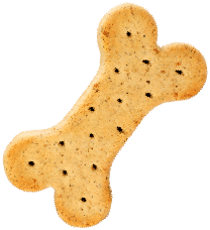 https://the-big-barn.co.uk/wp-content/uploads/2019/08/cookie.png